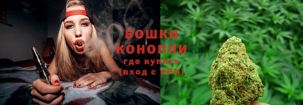 прущие грибы Бугульма