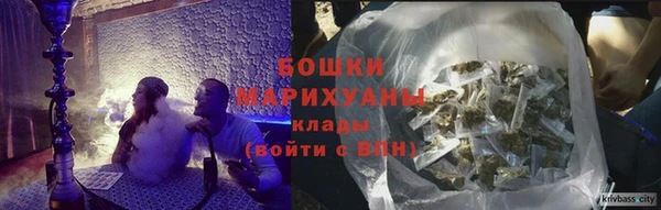 твердый Бородино