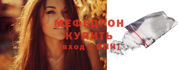 твердый Бородино