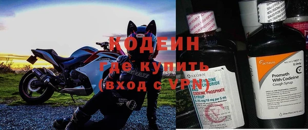 твердый Бородино
