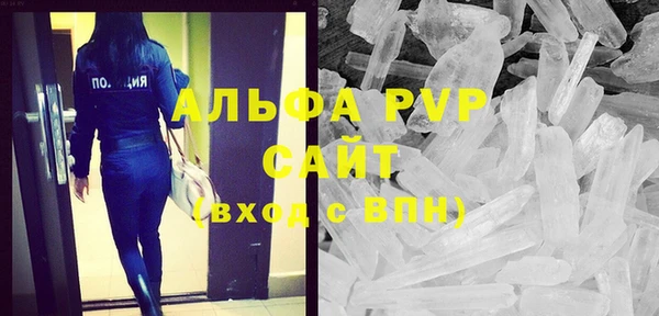 твердый Бородино