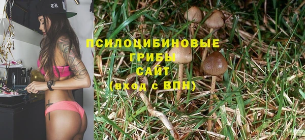 а пвп мука Бронницы