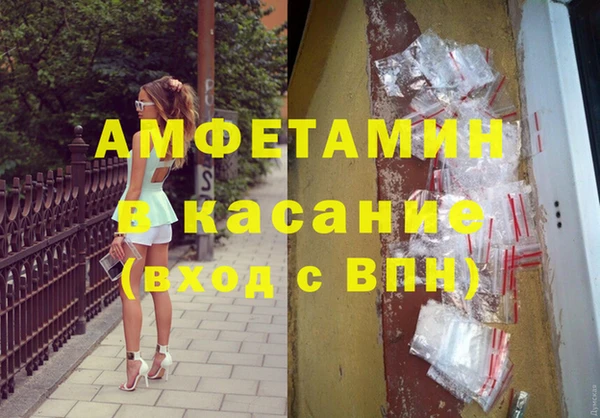 твердый Бородино