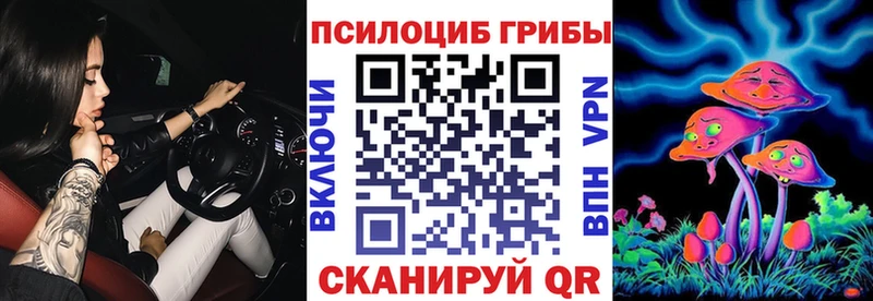 Галлюциногенные грибы мицелий  даркнет сайт  Вельск 
